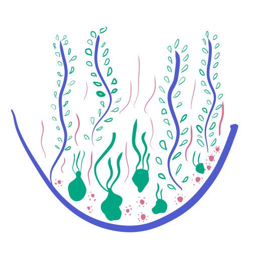 Symbole 2 - mini